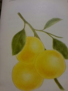 グレープフルーツ　アロマ