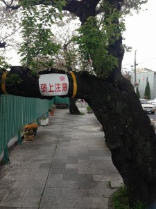 頭上　トラップ