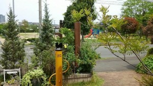 戸田公園　ランチ　石釜ピザ